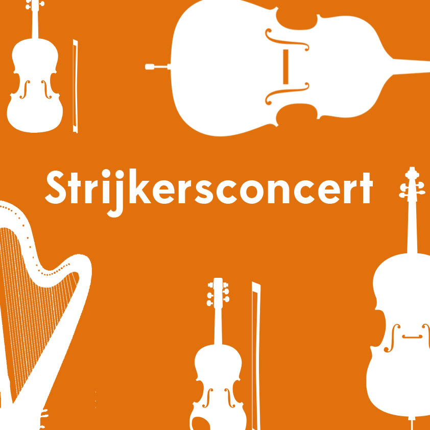 oranje achtergrond met witte illiustraties van een viool, altviool, harp, cello en contrabas